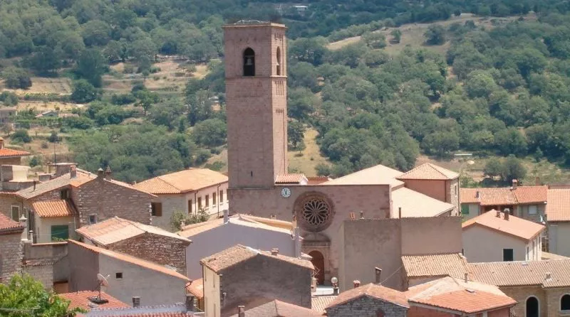 DON MICHELE CASULA NOMINATO PARROCO DI S. GAVINO MARTIRE IN GAVOI E DI S. GIORGIO MARTIRE IN LODINE