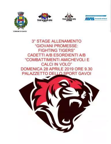 3-stage-regionale-2019-Gavoi TaeKwnDo