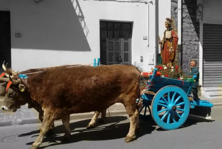 Festa di Sant’Antioco 2019 a Gavoi “Il Programma”