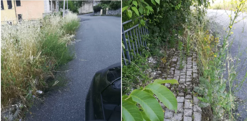 DECORO E MANUTENZIONE DELLE STRADE E DEL VERDE A GAVOI