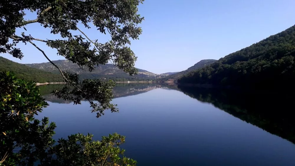 AREA PROTETTA DEL GENNARGENTU E MARGHINE GOCEANO