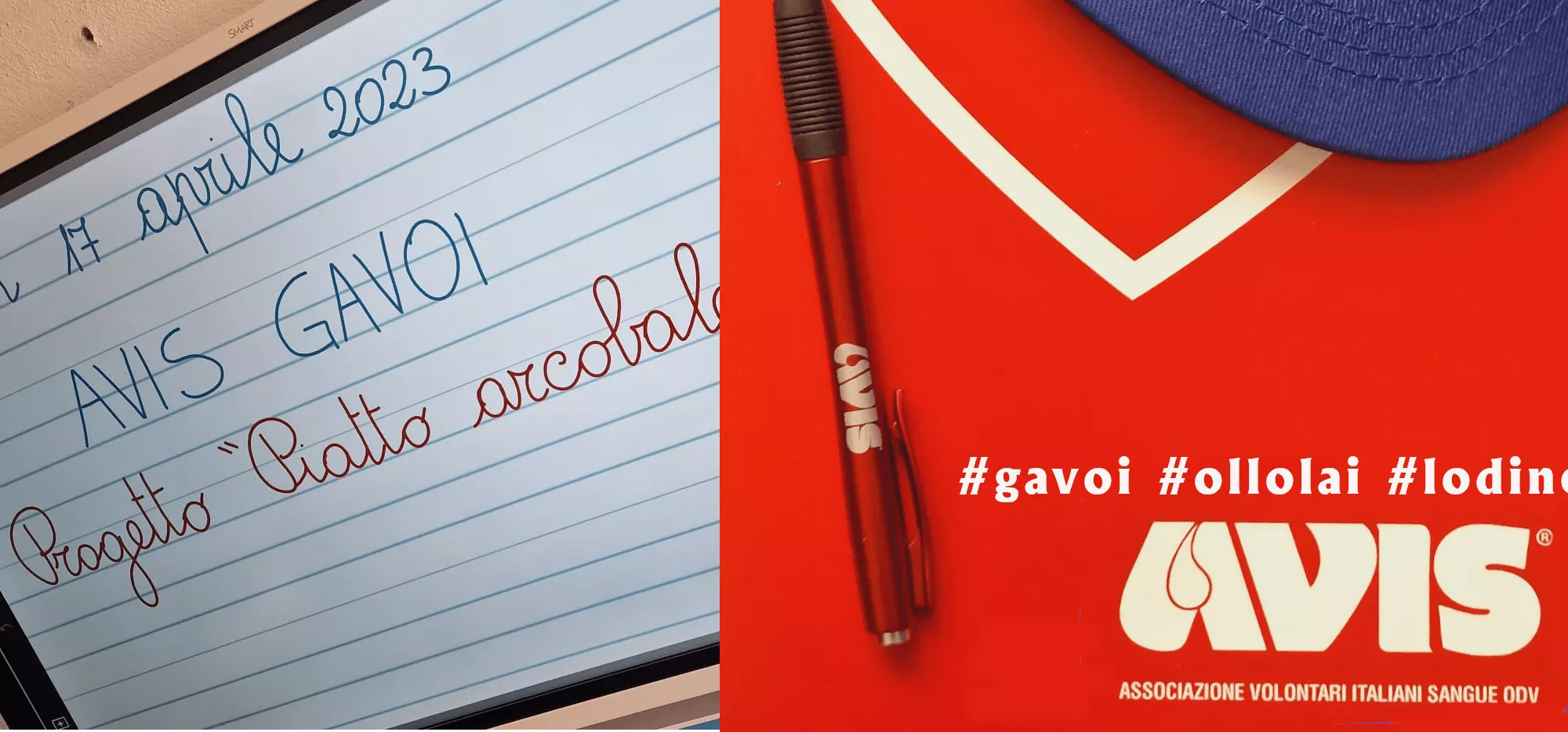 Home Avis Gavoi Progetto