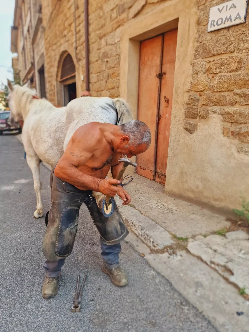 l'ultimo Il maniscalco di Gavoi