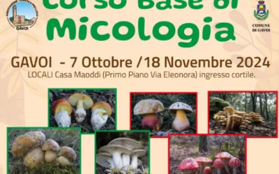 Corso di Micologia a Gavoi