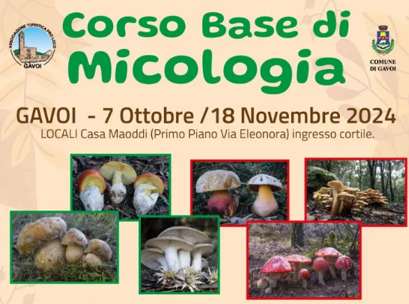 Corso di Micologia a Gavoi