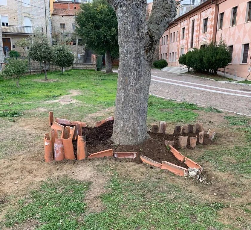 Albero Memoria Gavoi Istituto Istruzione Superiore Gavoi 2